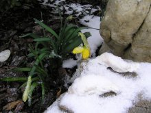 March 1 - Winter has returned / ***