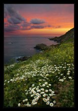 Saints Bay / ***