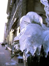icicle / ***