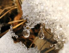 and everything will melt ... / ***