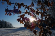 Winter and autumn mood) / ***