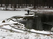 Winter Walk / ***