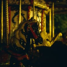 Horse / ***