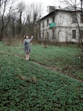 greens / ***