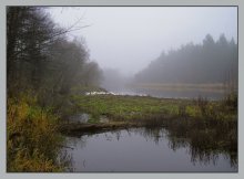 simple peyzazhik with geese / ***