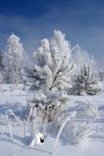 A stone's throw from the fairy tale / ***