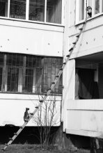 Vasya! Home! / .....