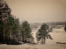 Winter / ***