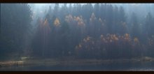 Autumn light / ***