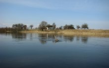 River Konopel'ka. / ***