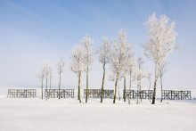 A couple of days until spring. / ***