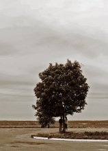 Love and weather ... / .....