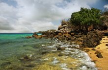 Reefs / ***