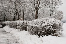 Winter's Tale 2 / ***