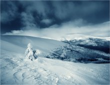 Winter / ***