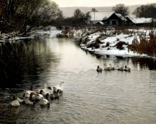 rustic zarisovochka / ***