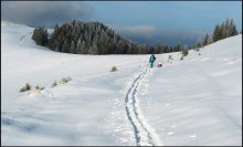 Skiers / ***