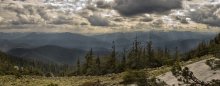 Acid Pano / ***