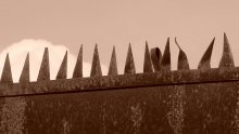 Freedom / *****