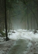 forest / ******