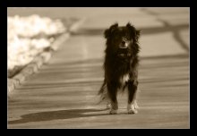 Waiting ... / ***