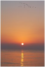 Dawn over the White Sea / ***