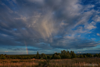Rainbow / ***