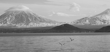 Flight. / ***