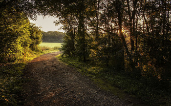 There around the bend / ***