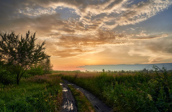 Ein Morgen im Juli / ***