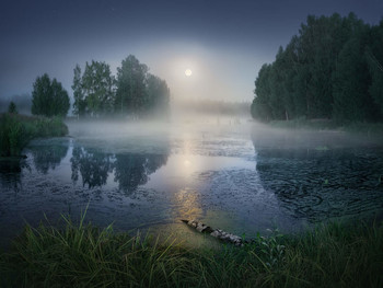 Moonlight / ***