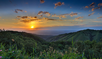 Golden Sunset / ***