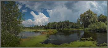 Bayou / ***