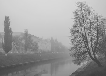 Foggy Morning... / ***
