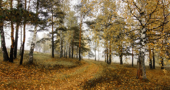 autumn / ...