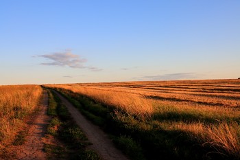 Road / ***