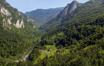 Montenegro / ***