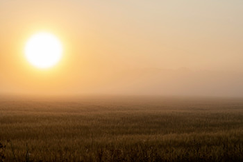 Fog dissipates / ***