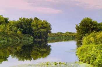 The evening after the rain / ***