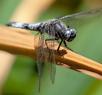 &nbsp; / ´´´´´´´´´´´´´´