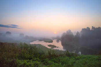 Foggy morning / ***