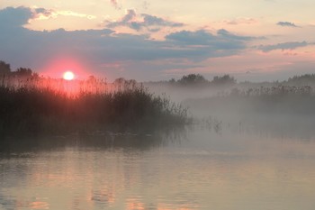 Foggy sunrise / ***