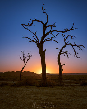 Dancing in the sunset / ***