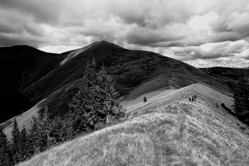 Carpathians / ***