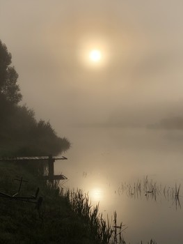 Foggy morning / ***