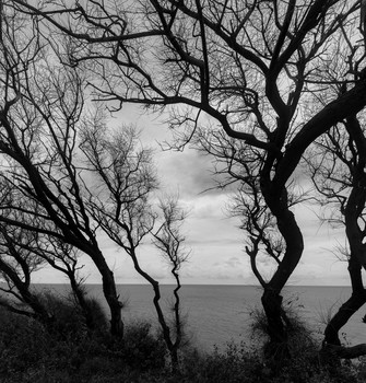 Meer / ***