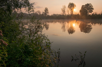 Dawn on the Pripyat / ***
