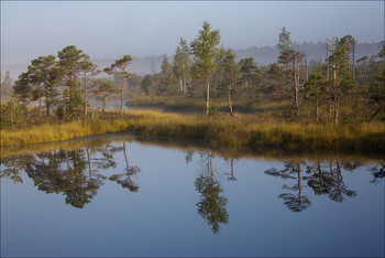 signs of autumn / ***