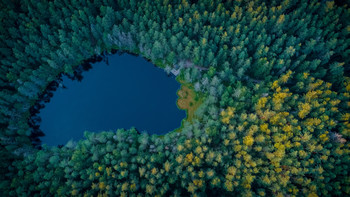 Dead Lake / ***