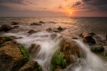 Warm evening / ***
